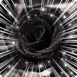 Meet your Posher, Johanny